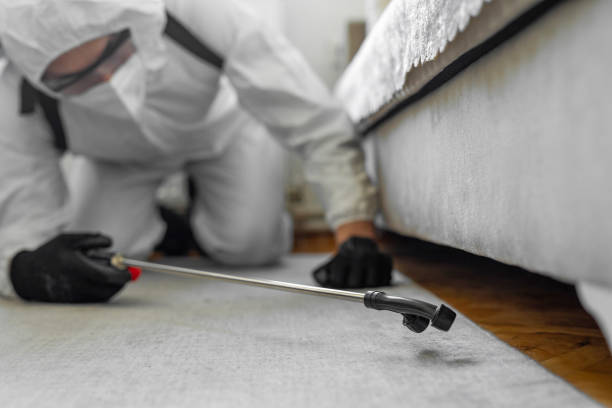 Professional Ant Control technician working in Hilbert, WI