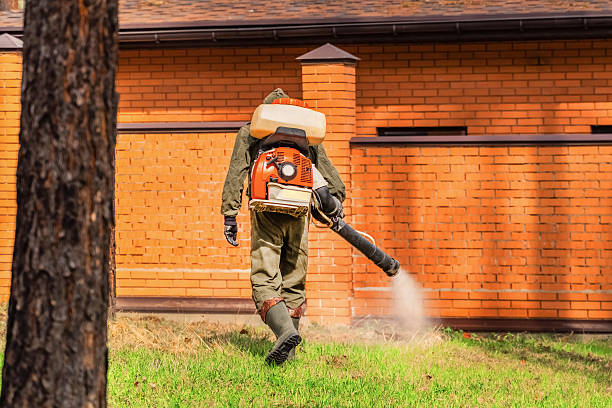 Top rated local Ant Control specialists in Hilbert, WI